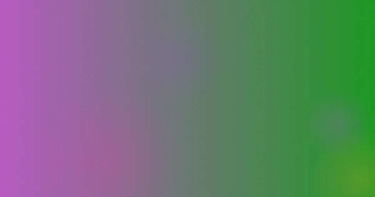 白燕怎么入门：别只看苦情